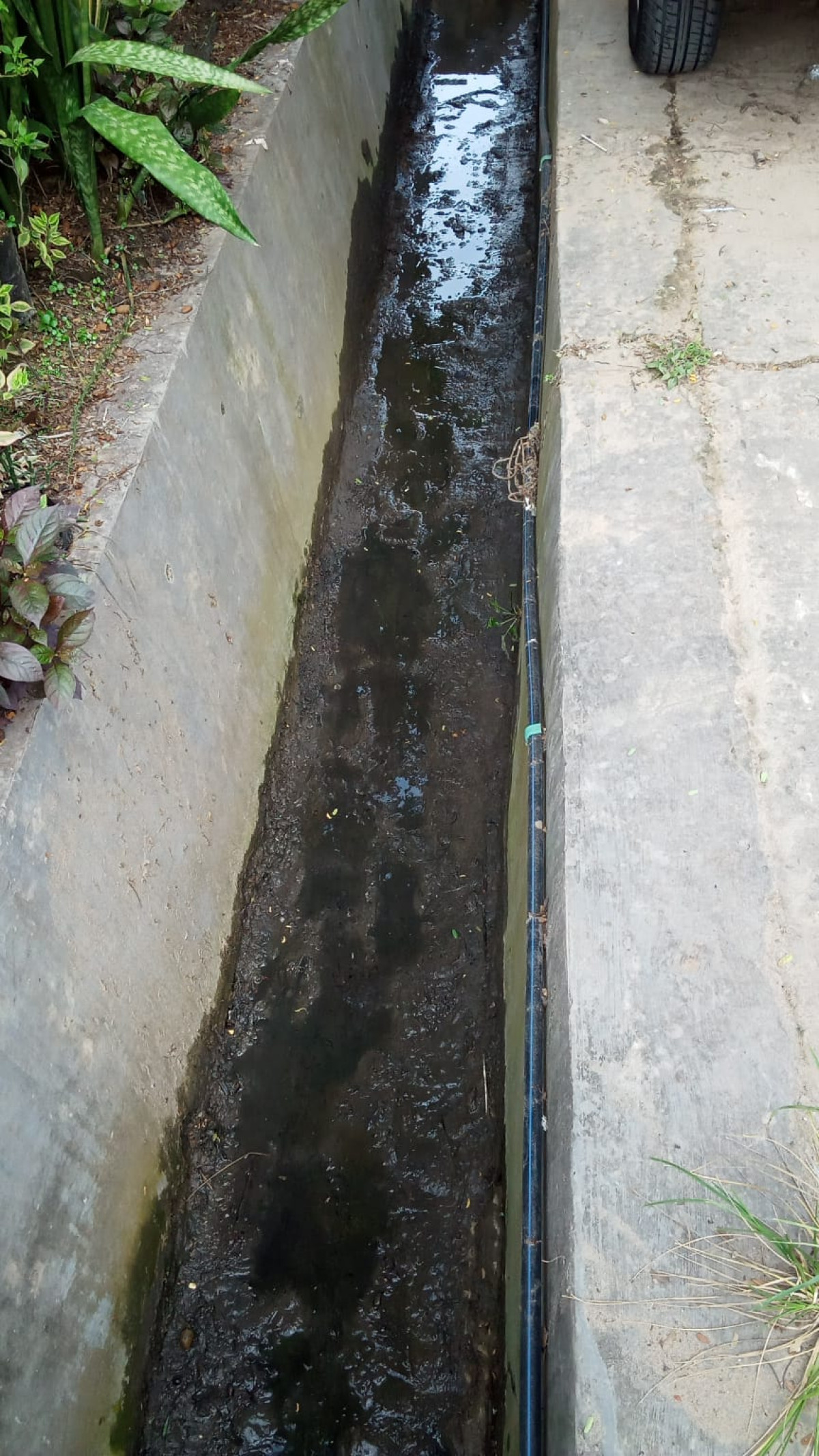 kerja bakti