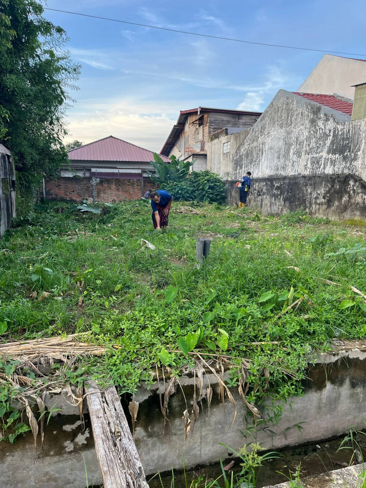 kerja baktri