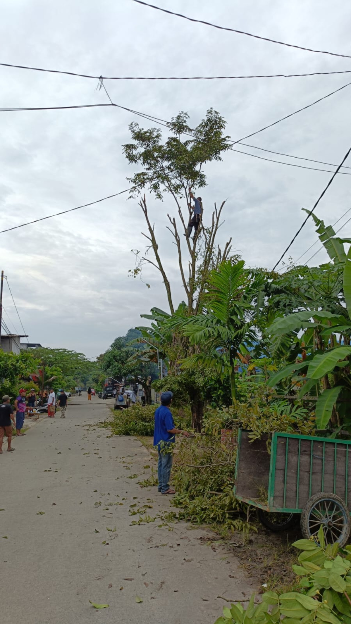 kerja bakti