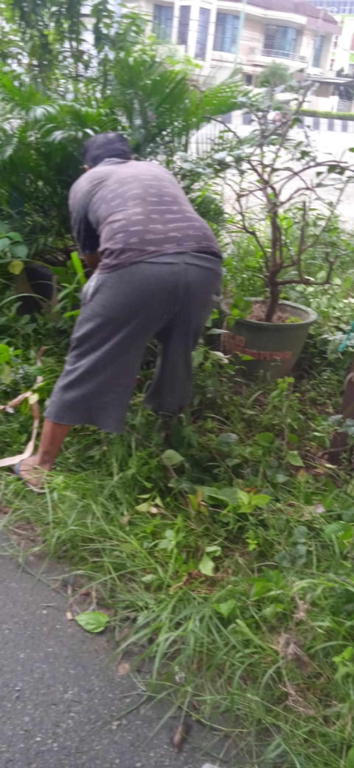 kerja bakti