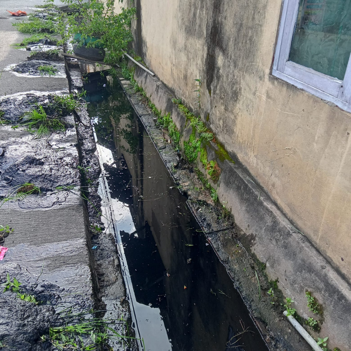 kerja bakti