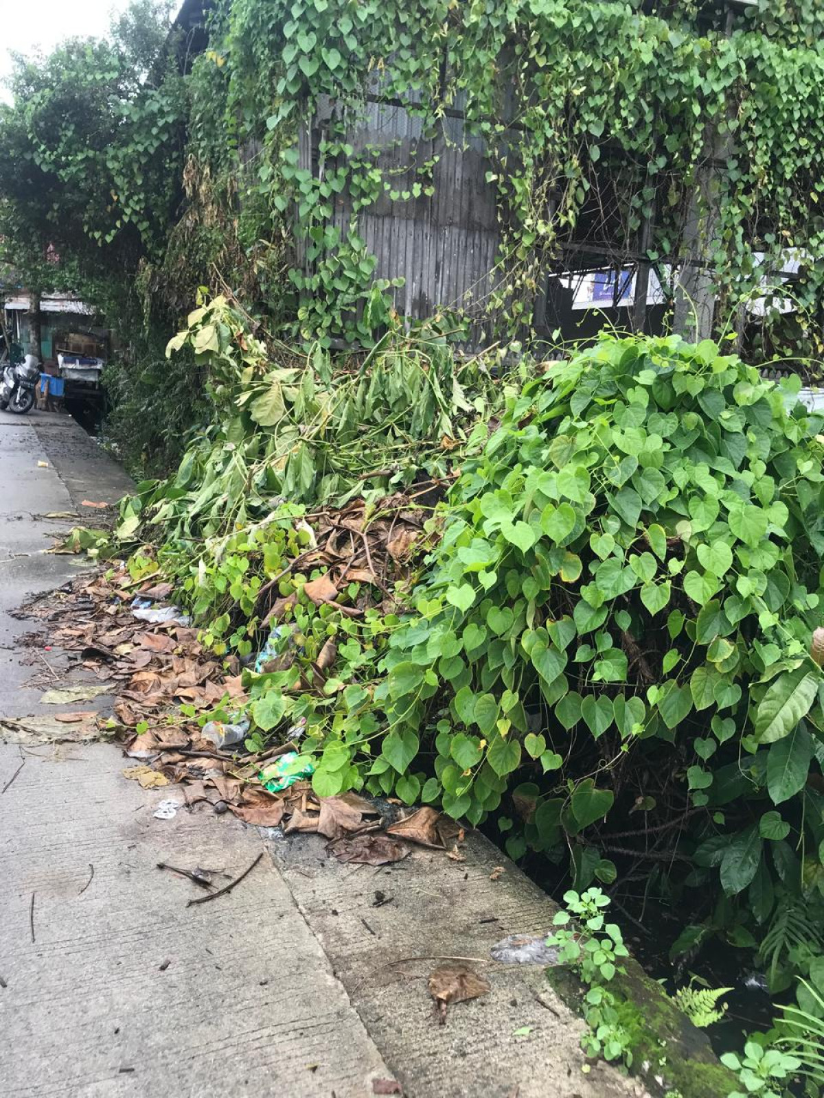 Gotong royong dilingkungan RT. 30