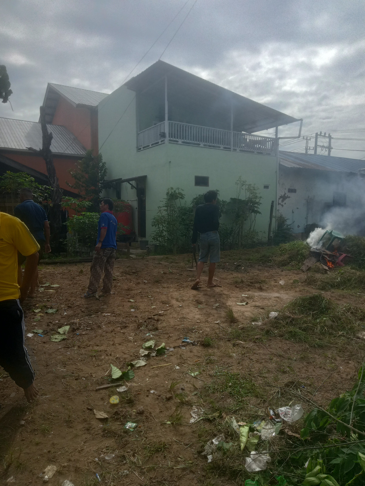 Bakar sampah rumput dan pohon yg hbs d potong