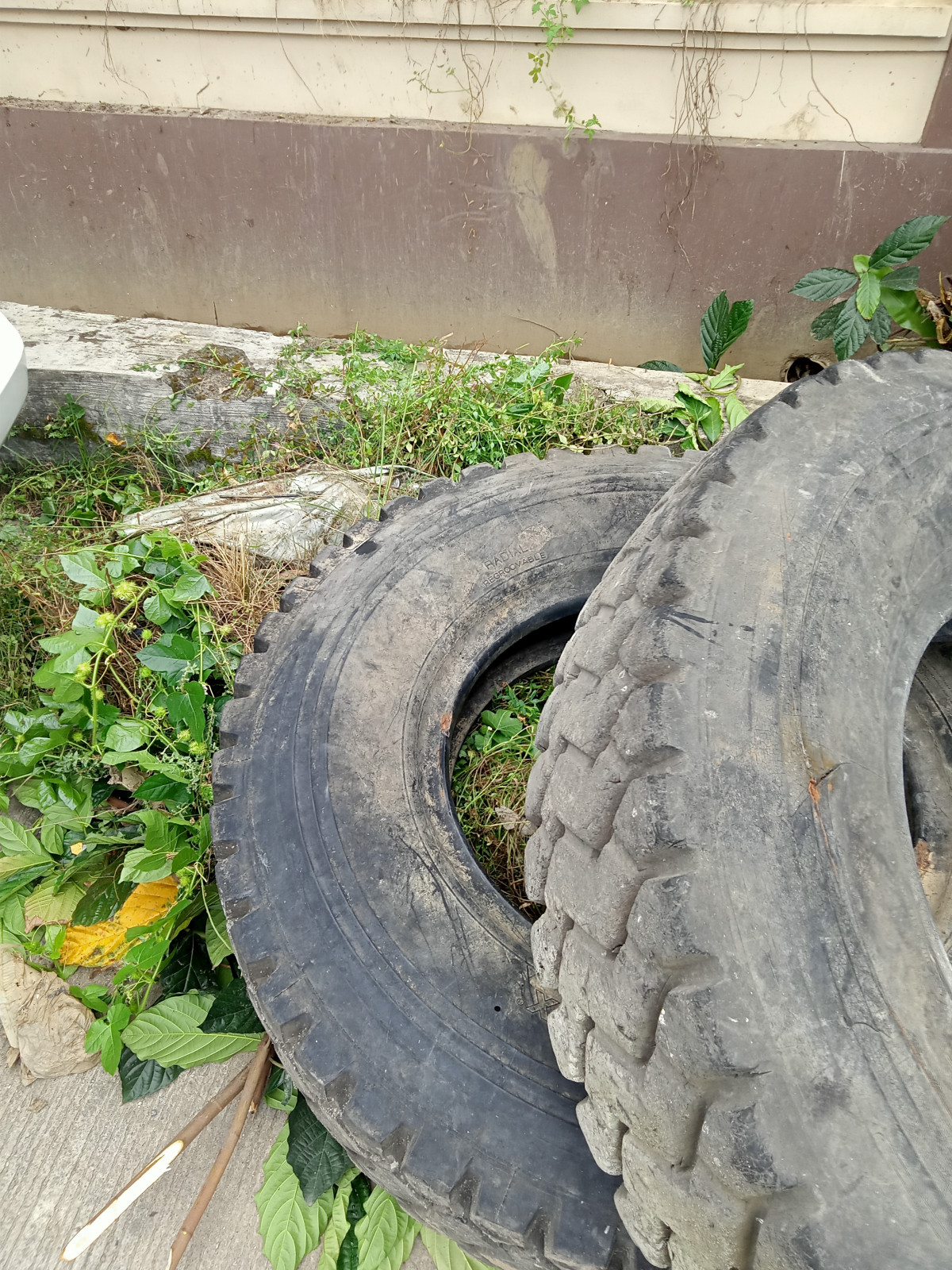 Bersih sampah