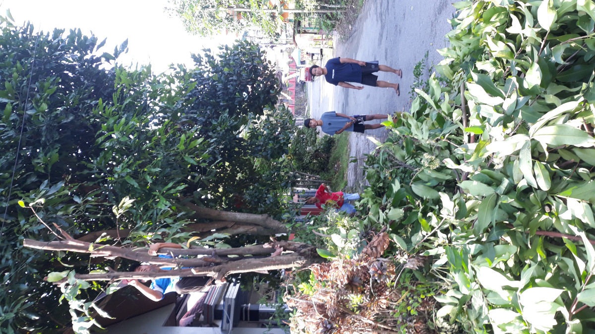 kerja bakti