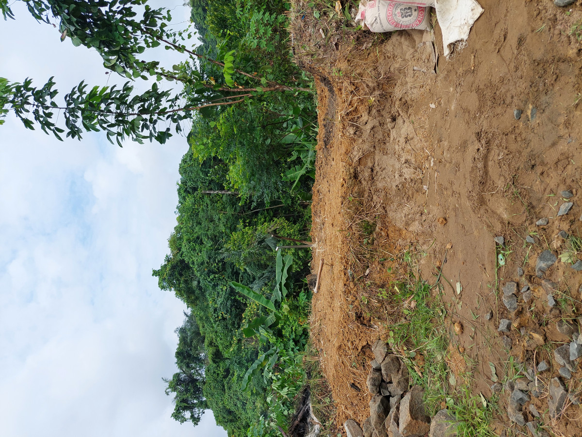 Kerja bakti