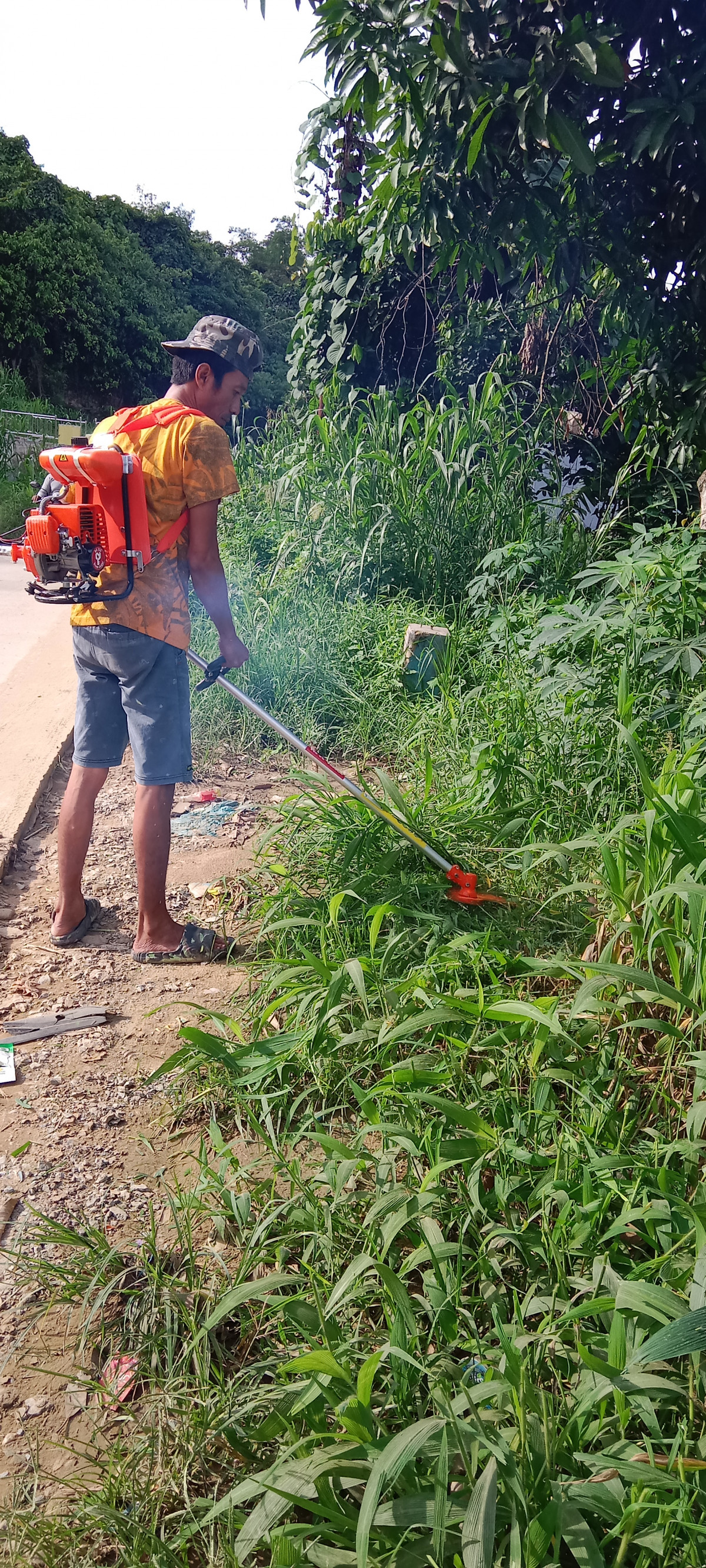 Membersihkan rumput pinggir jalan