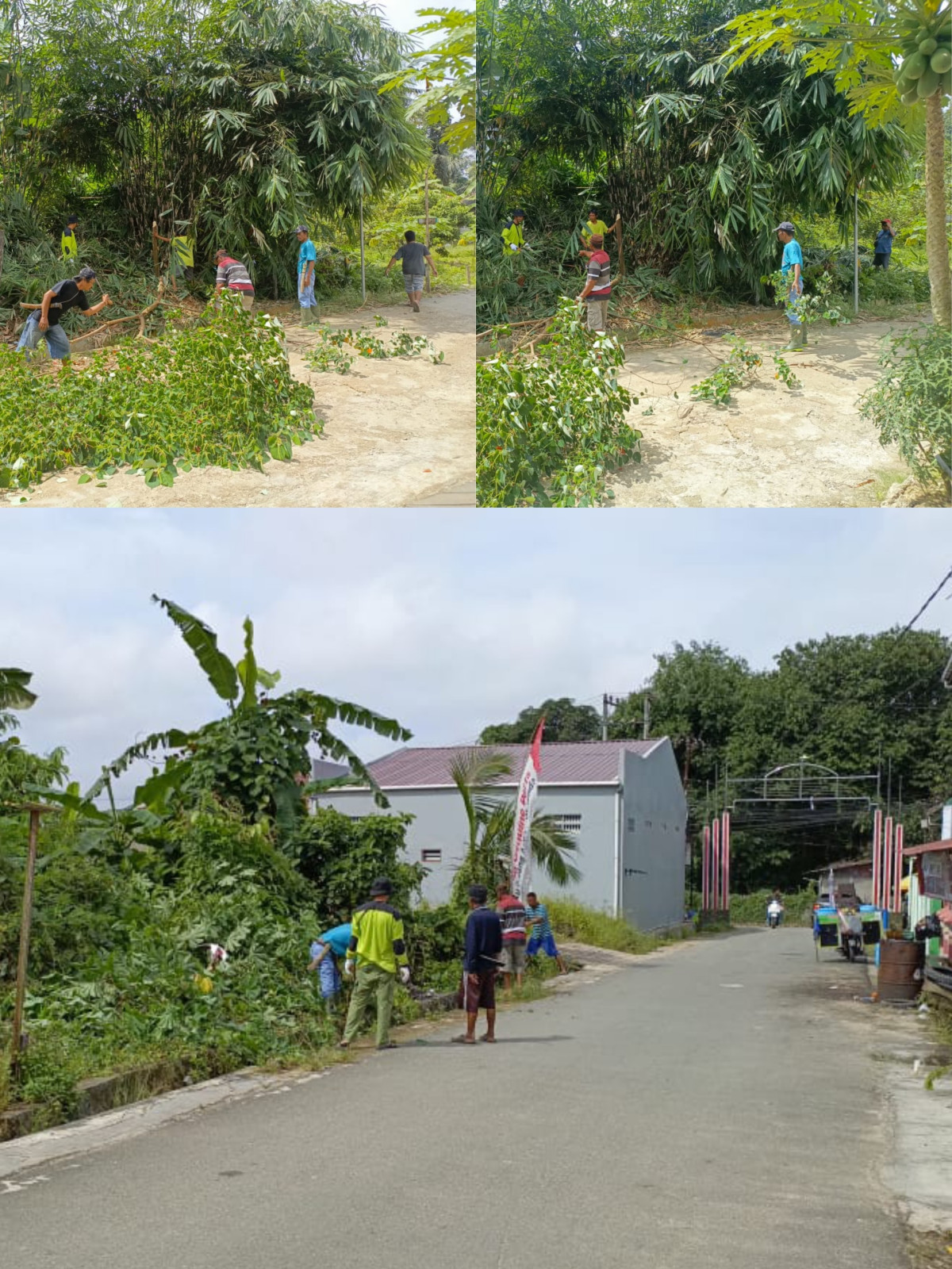 Pembersihan drainase dan pemangkasan pohon