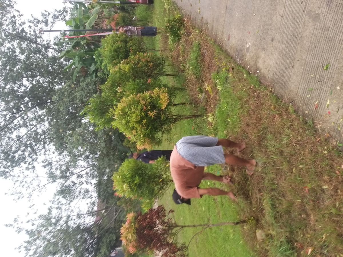 Gotong royong warga