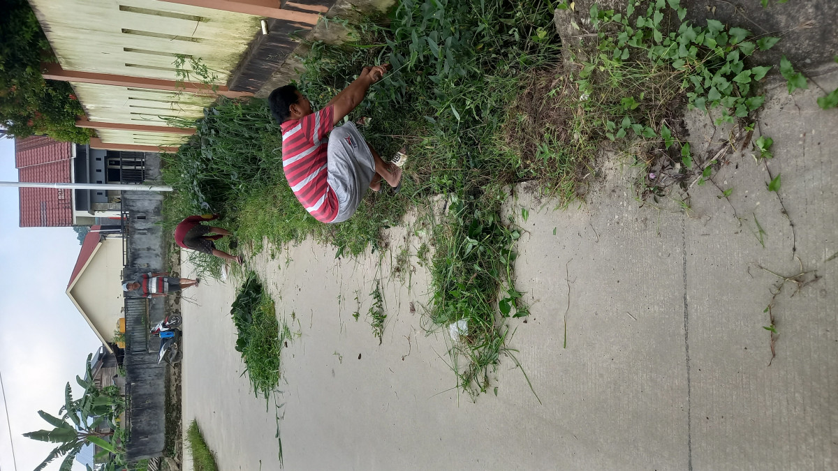 Pembersihan rumput