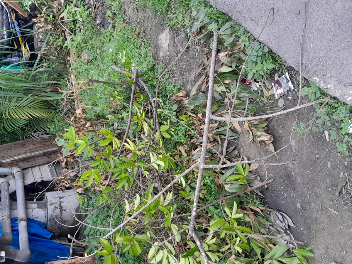 Kerja bakti