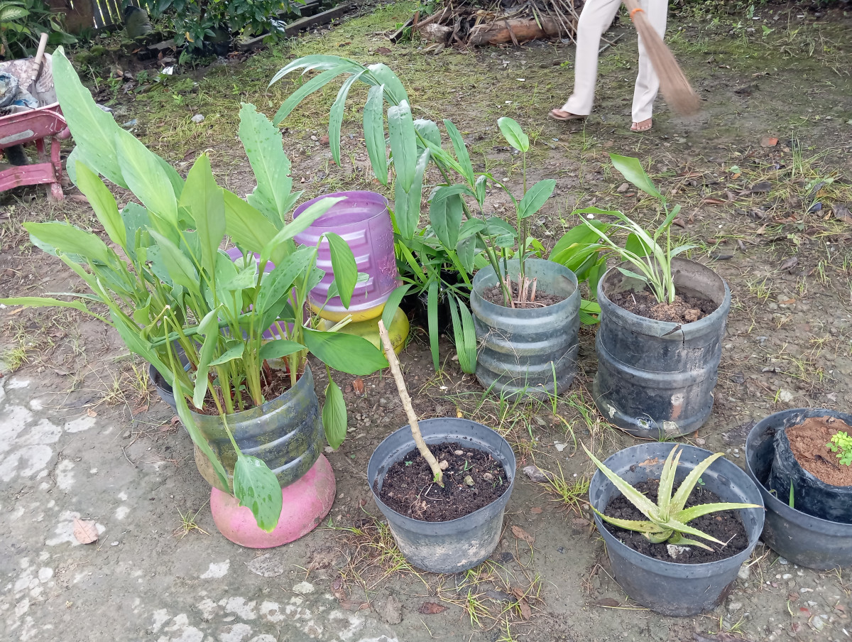 Kerja bhakti pembuatan kebun toga dasawisma