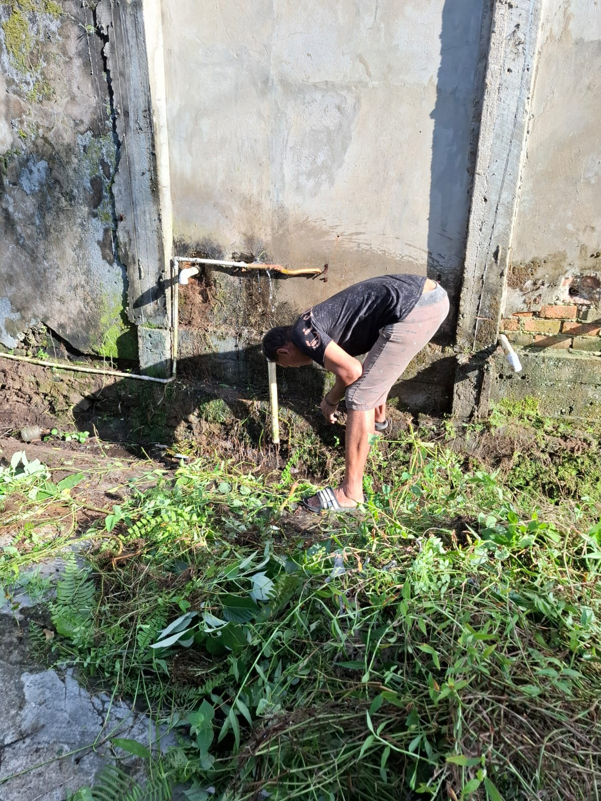 gotong royong