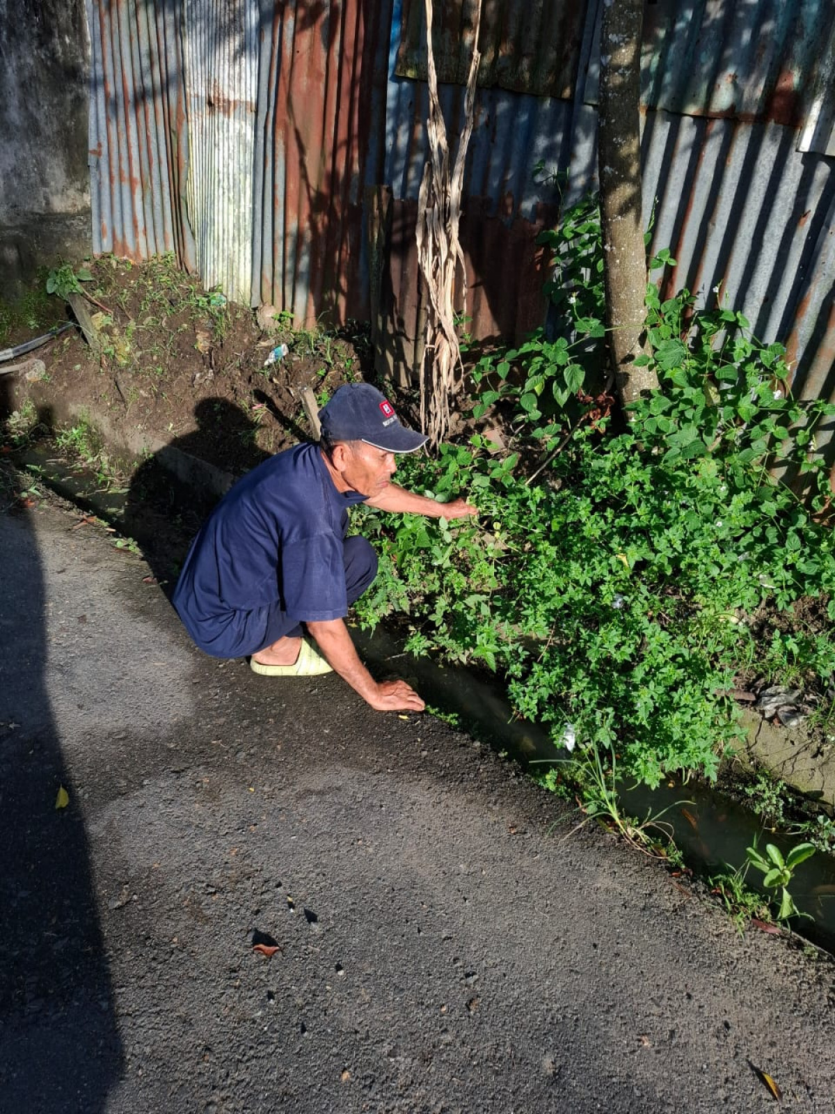 gotong royong