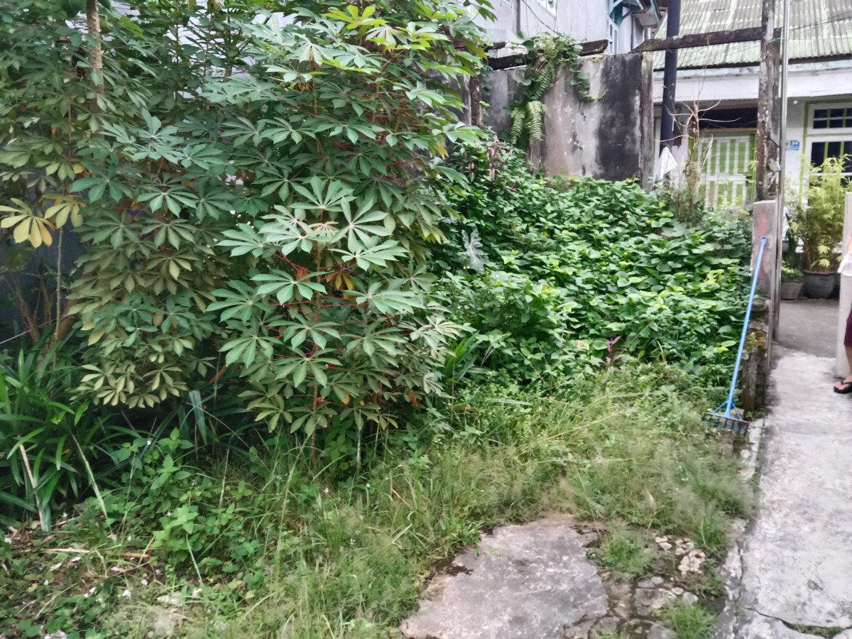Gotong royong membersihkan sampah dan rumput