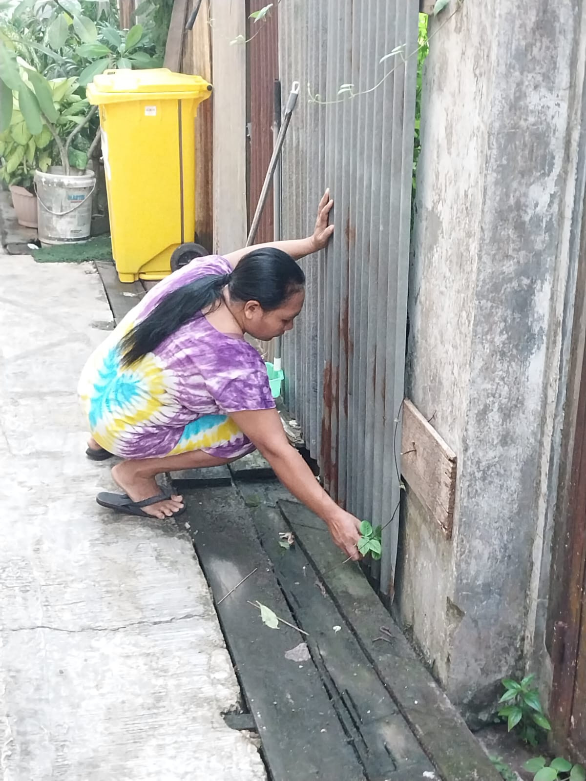 Membersihkan Halaman Rumah Sekitar
