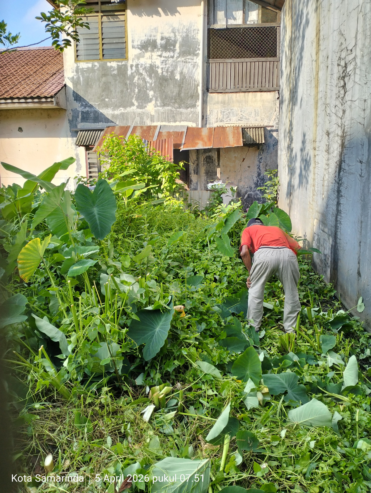 Kerja bakti
