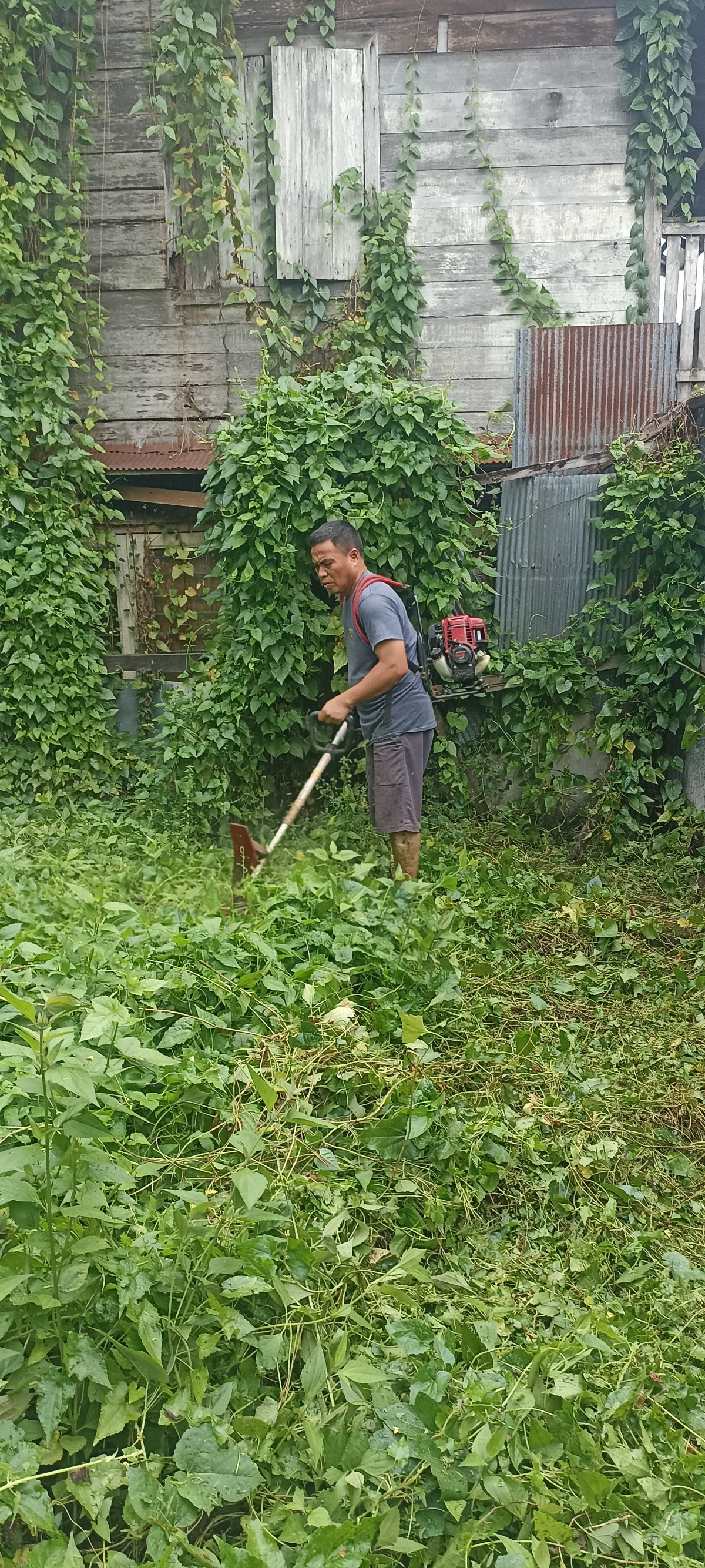gotong royong