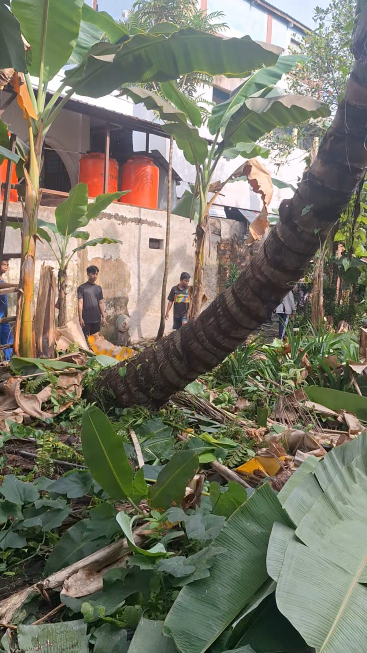 Kerja Bakti dan Gotong Royong