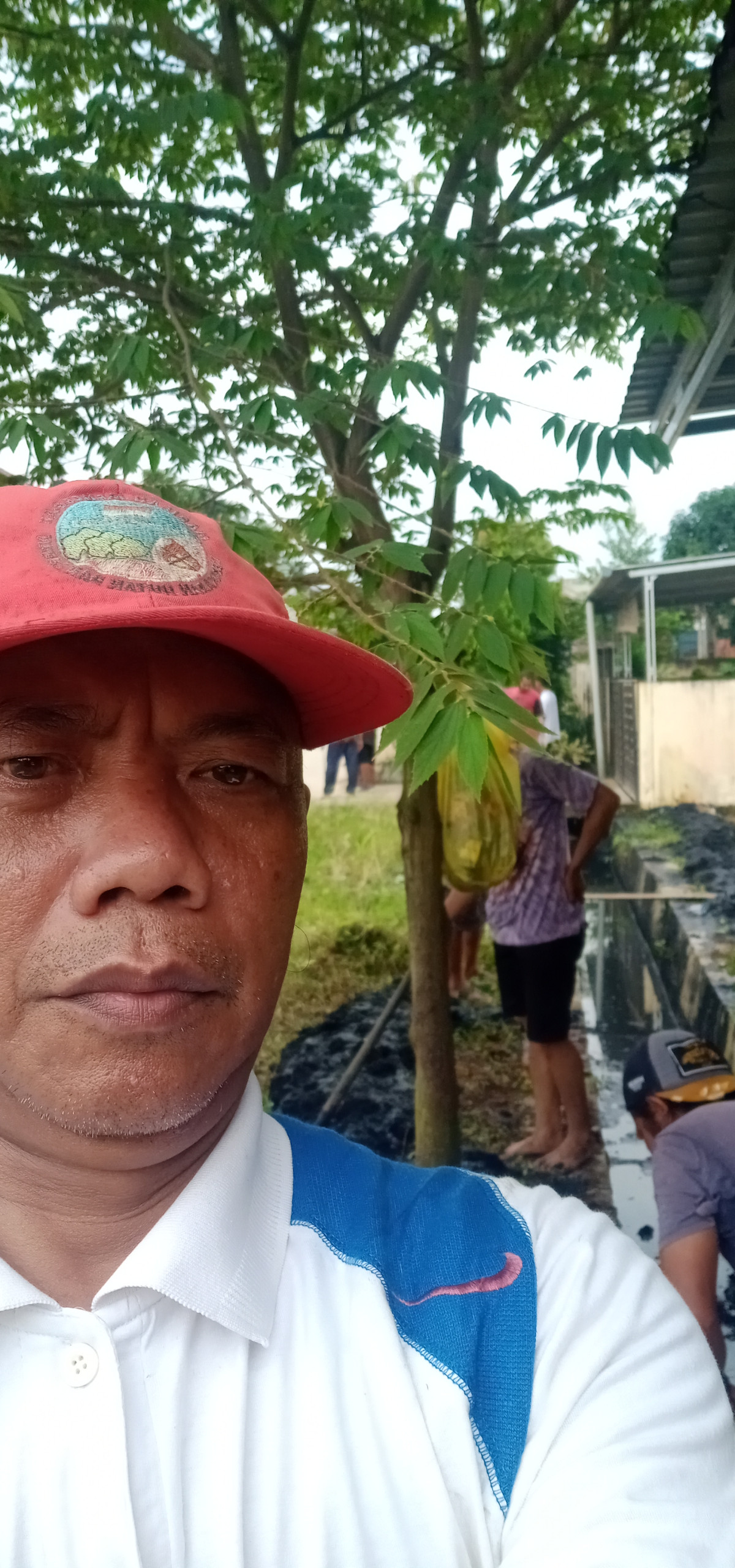 Bersihkan rumput dan parit