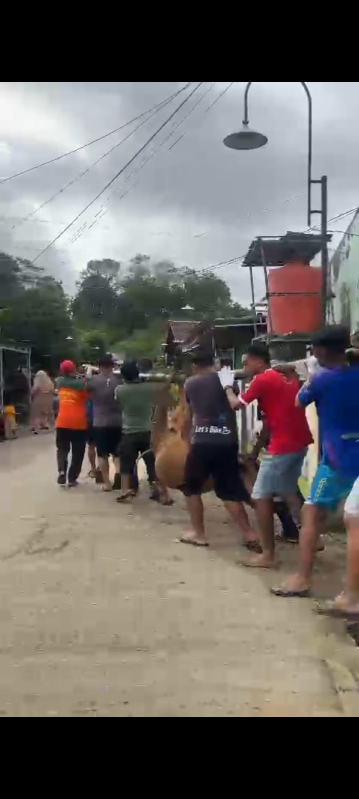 Pemotongan hewan qurban RT.06