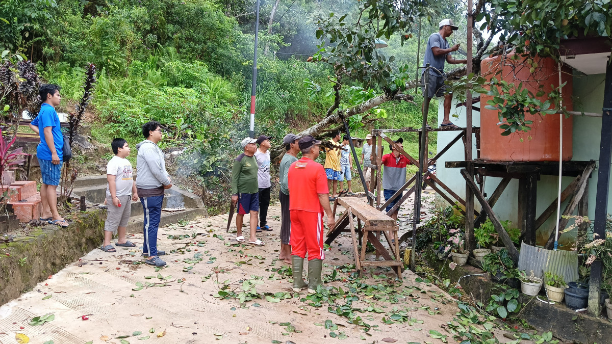 Penebangan pohon tumbang di GG penghubung RT.06