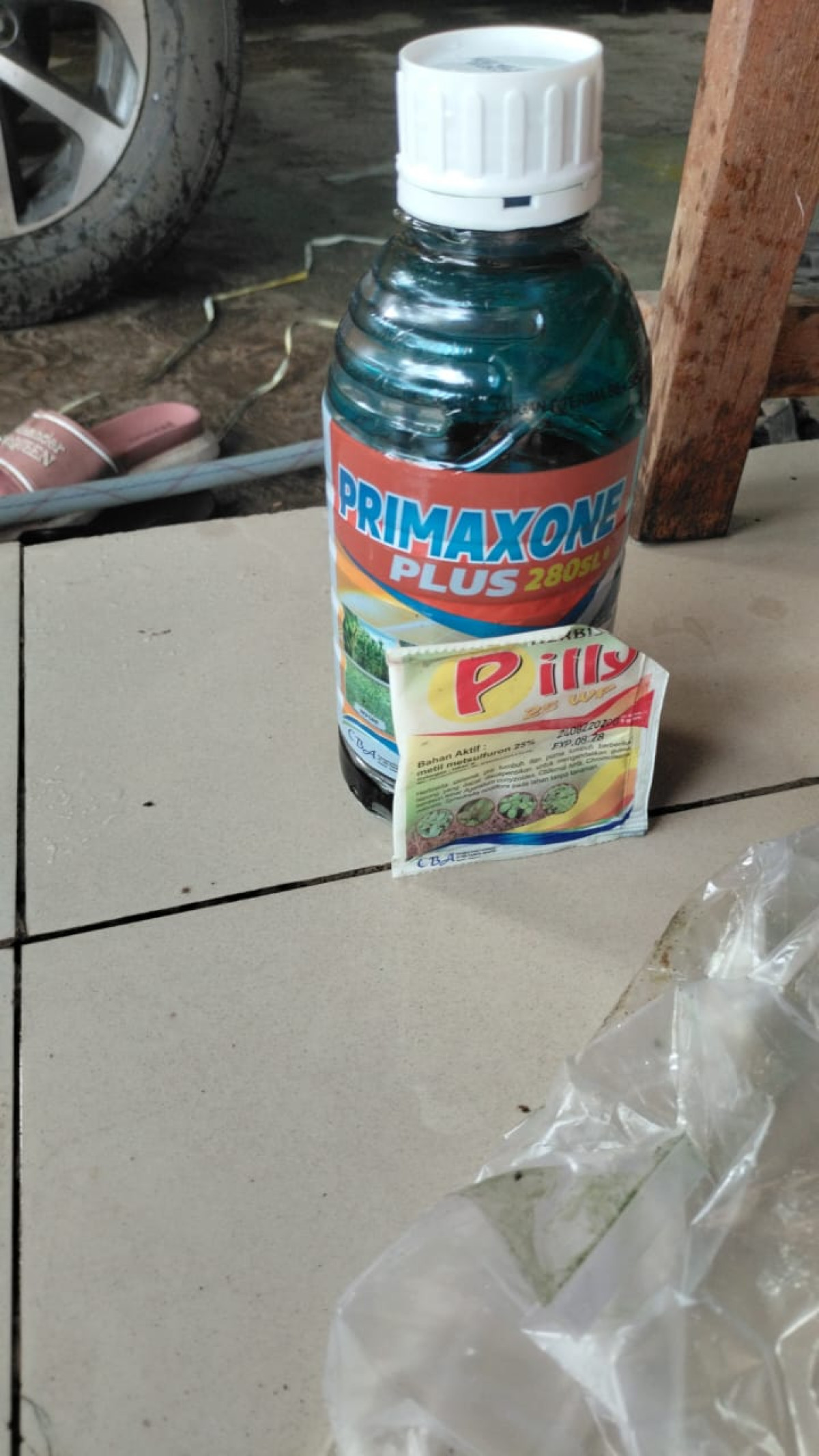 Kegiatan gotong royong & Penyemprotan rumput liar di area RT.11