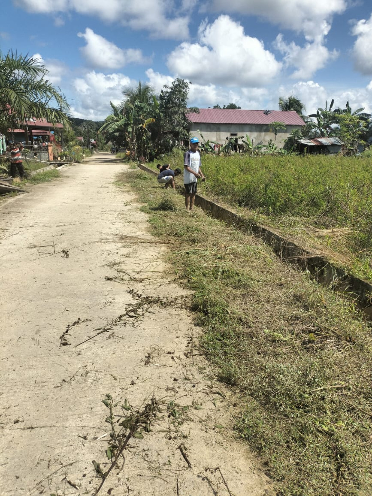 kegiatan Gotong Royong di gg kebun raya pemotongan rumput & pembersihan saluran drainase