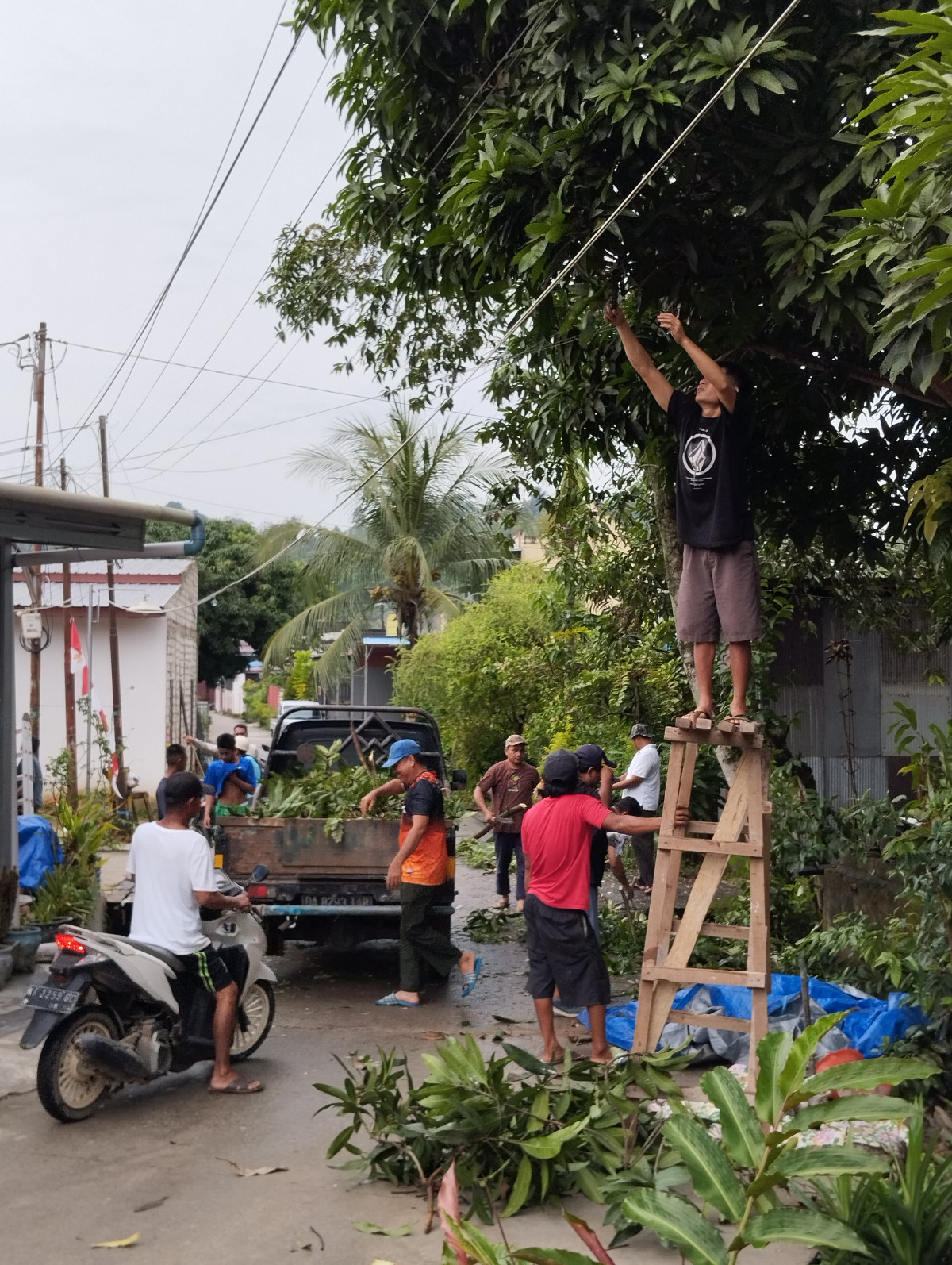 Gotong royong pemangkasan pohon² yang mengganggu jalan, pemasangan instalasi lampu penerangan jalan dan pembersihan drainase di Blok B1-B12-B14-B15-B16
