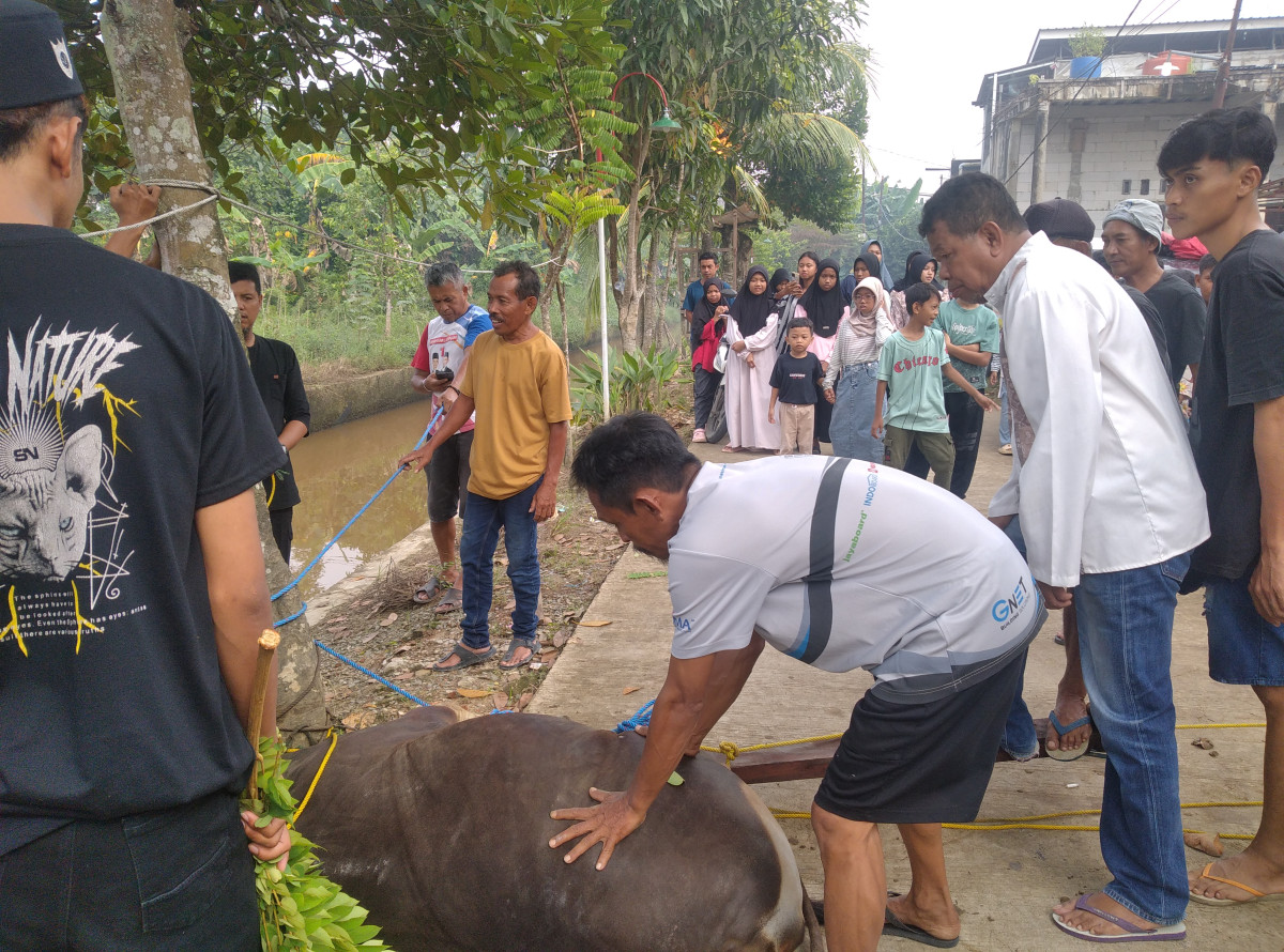 Gotong Royong Qurban