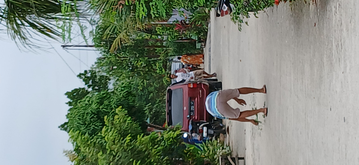Goyong minggu ke 2