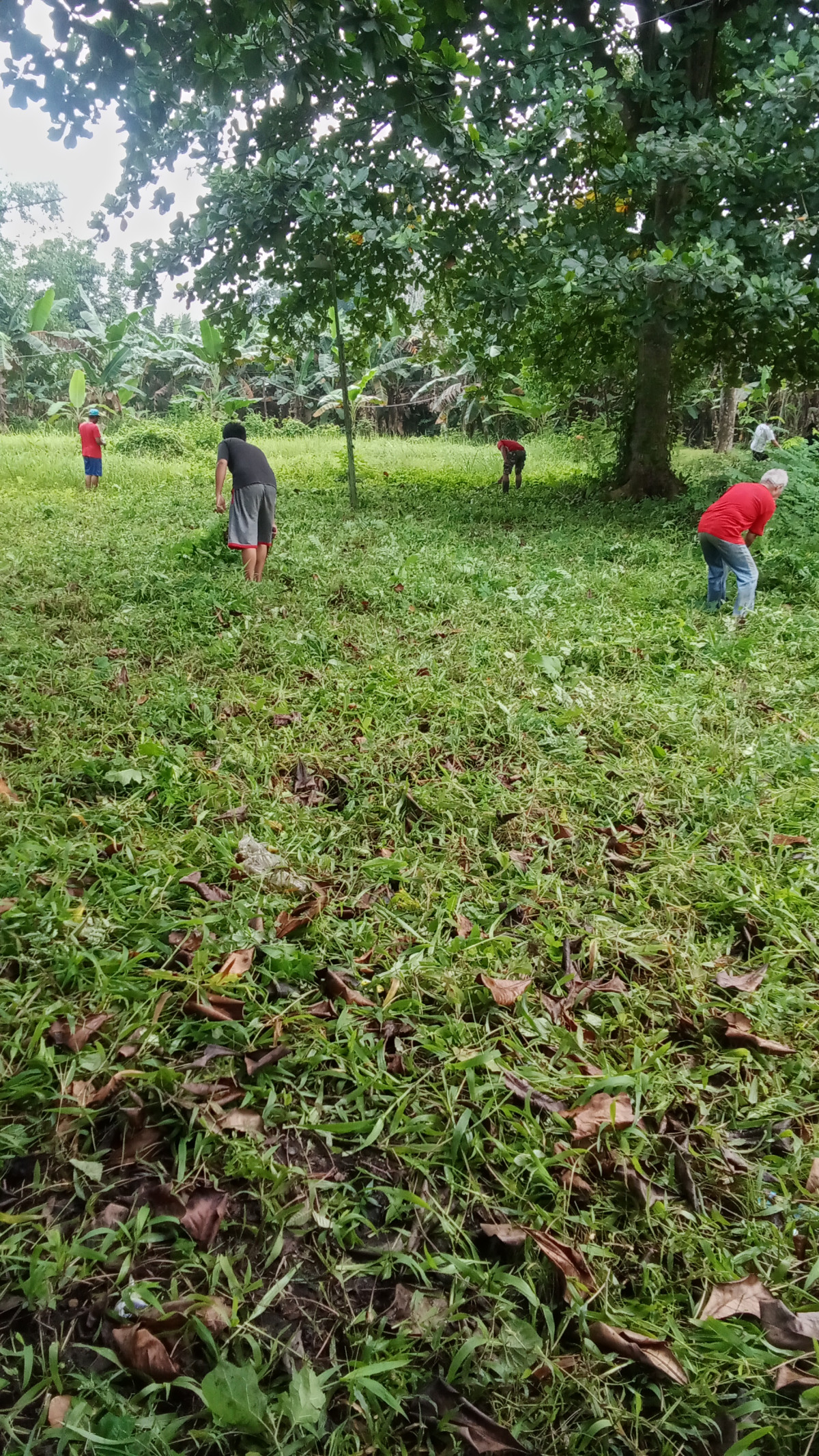 Gotong royong