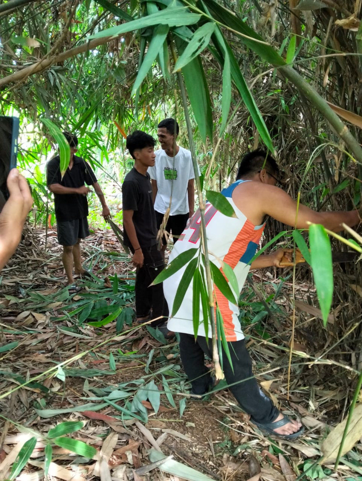Gotong royong mencari bambu untuk umbul2