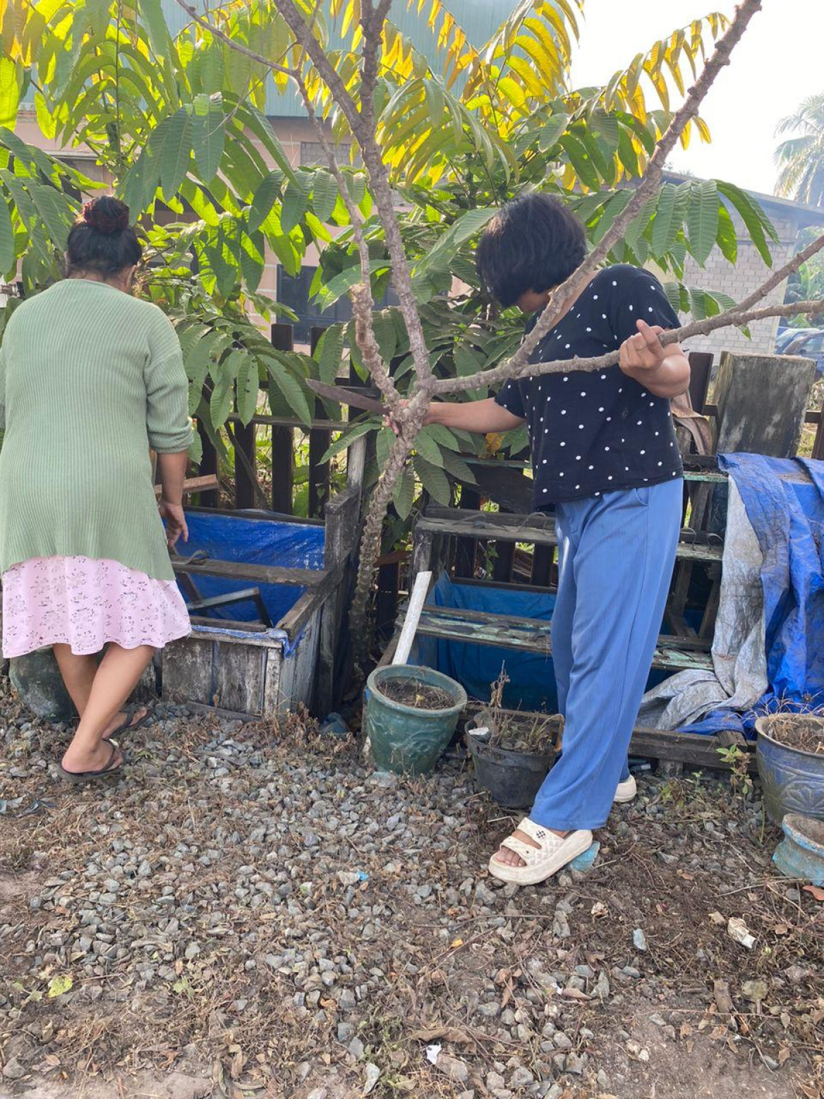 gotong royong