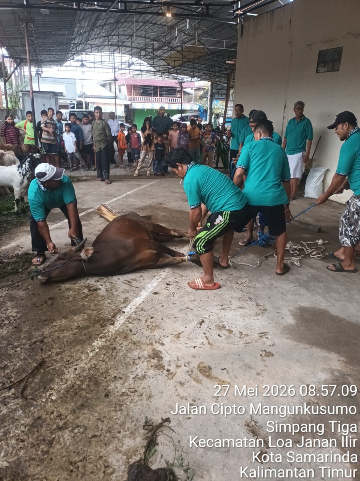 Kerja bakti penyembelihan hewan Qurban di langgar Al. amin RT 14