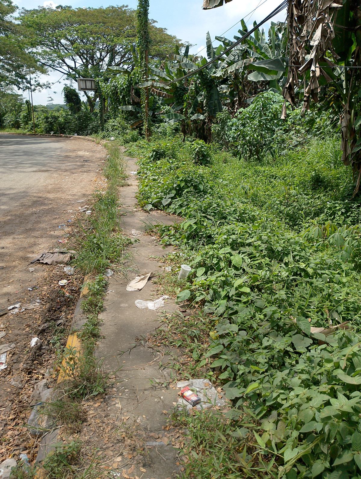 Jln.cipto Mangun Kusumo rt17 Kelurahan sengkotek kec loajanan ilir