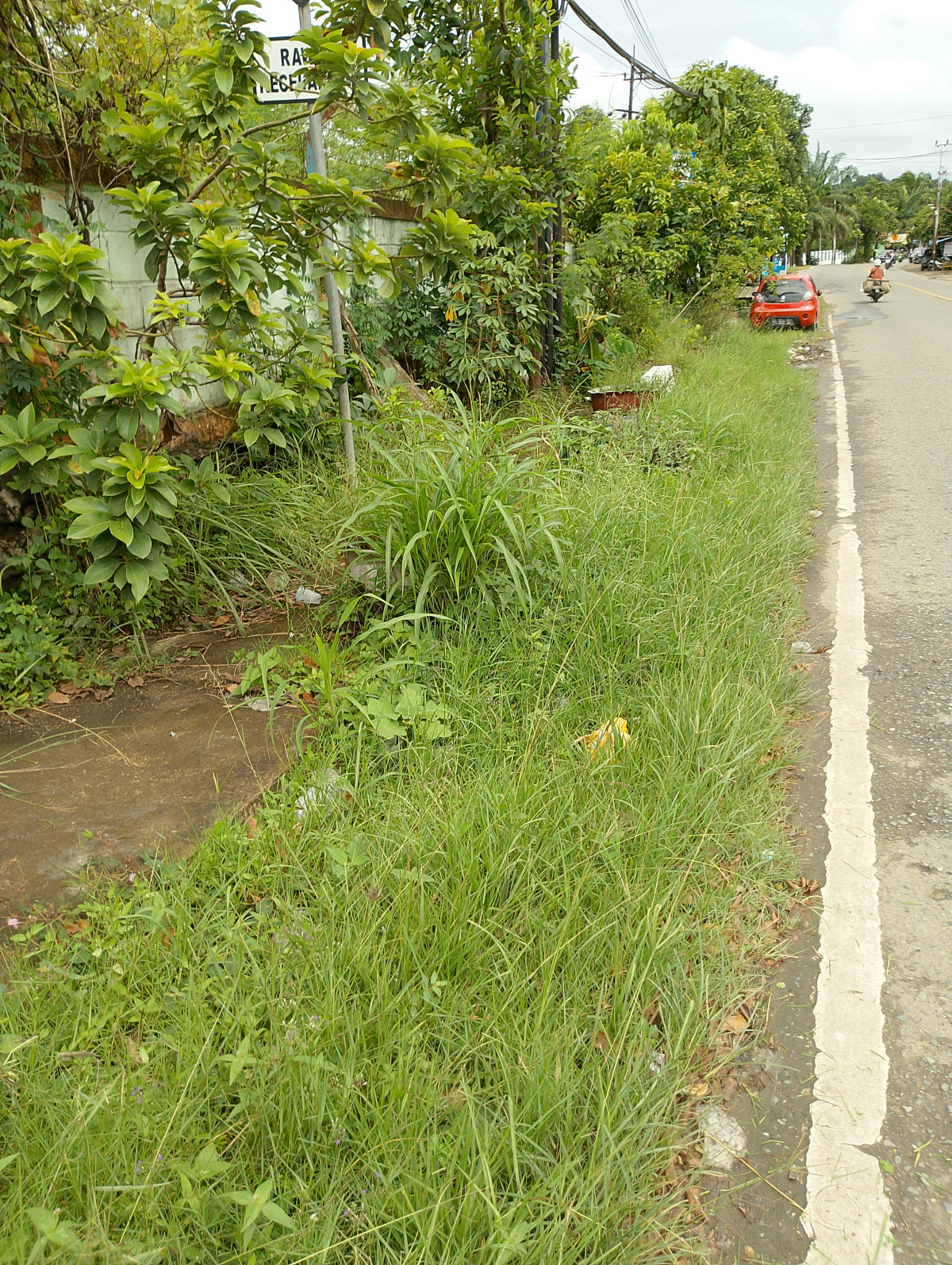 Jalan Cipto Mangun Kusumo RT 17 Kel sengkotek kec loajanan ilir
