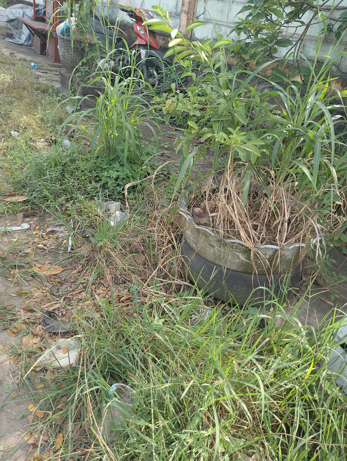 Gotong royong